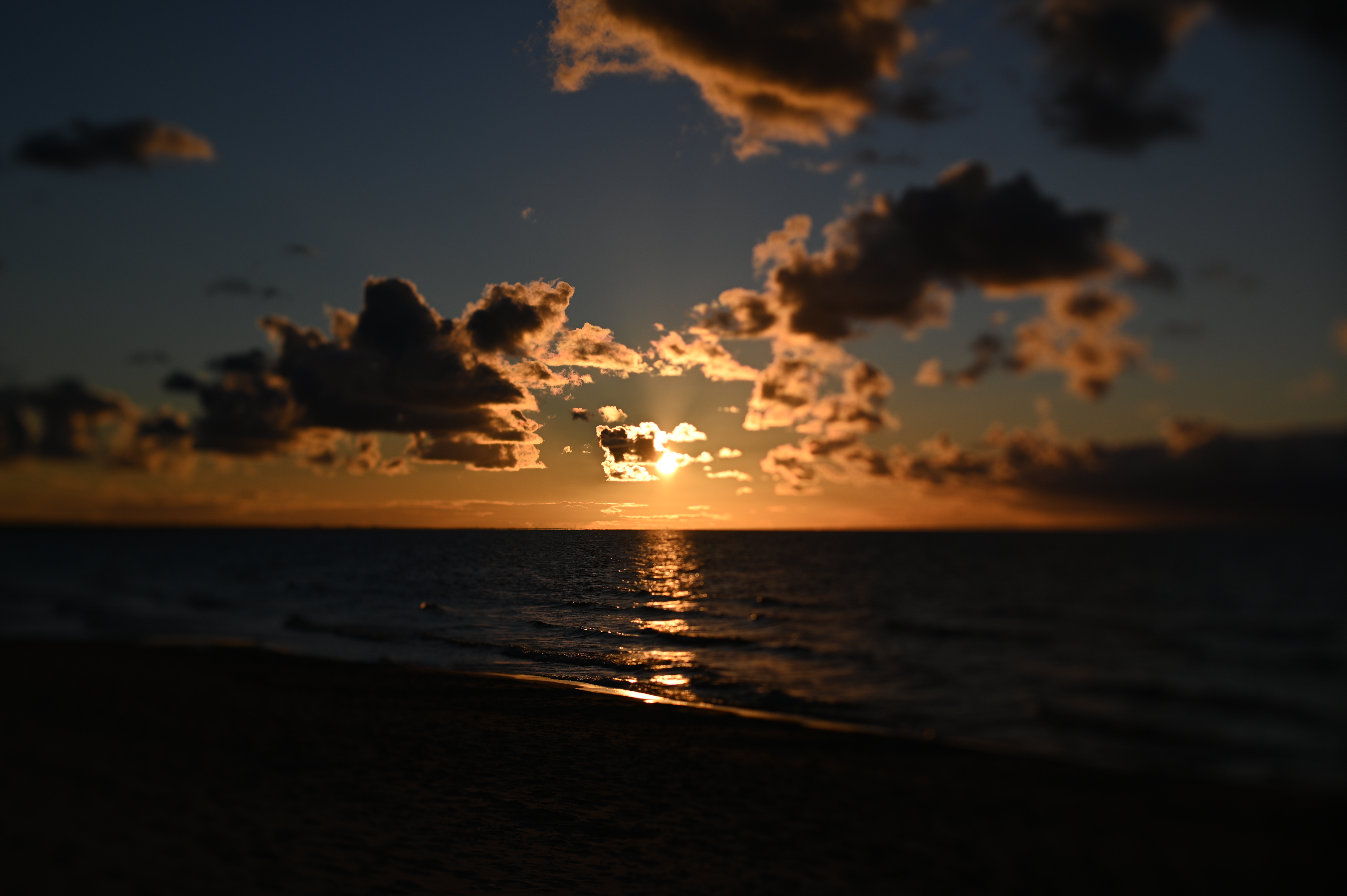 2025/10/18 - walk/DSC_0348.JPG